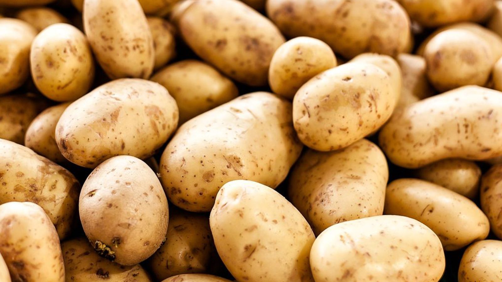 potatoes