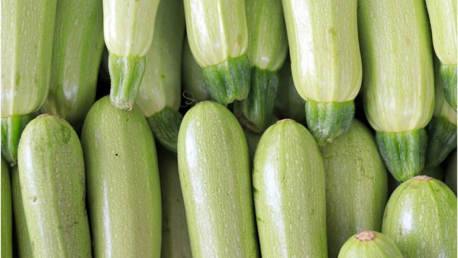 zucchini